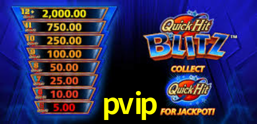 pvip.com