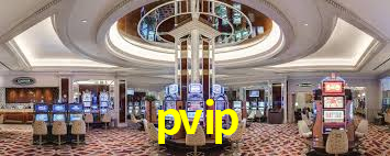 Premium Interface pvip
