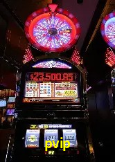 Design Responsivo pvip